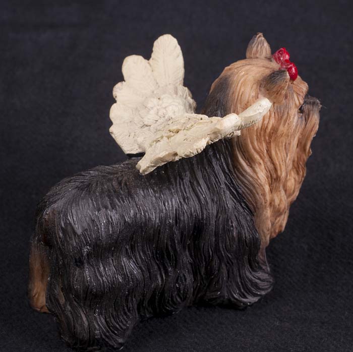 angel doll dog